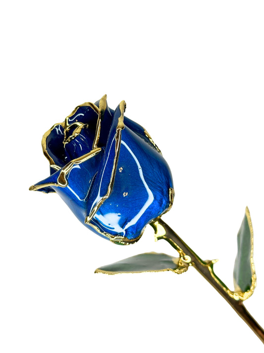 Ethereal Blue Rosebud Cami